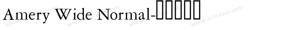 Amery Wide Normal字体转换